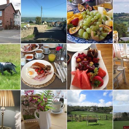 Bed and Breakfast School Farm Blagdon Exterior foto